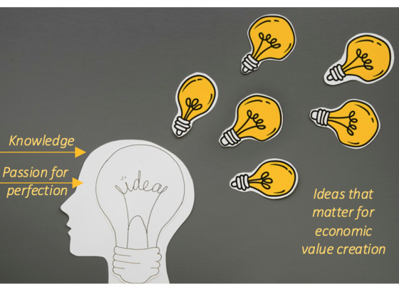 Both passion for perfection and the flow of knowledge should be fed to creative minds to generate ideas for profit making opportunity to offer better products at lower cost