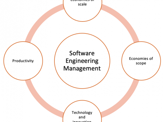 Software engineering management focuses on productivity, economies of scale and scope, and technology & innovation management