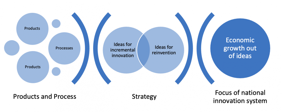 National innovation system should be developed as per requirements of incremental advancement and reinvention
